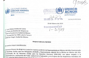 En inédito oficio, ONU alerta a juez en México sobre riesgos de extraditar a opositor de Putin